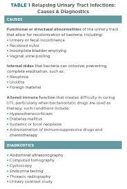 Use Of Antibiotics For Treating Utis In Dogs And Cats Today S Veterinary Practice