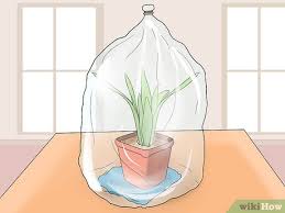 Maybe you would like to learn more about one of these? Ø±ÙŠ Ø§Ù„Ù†Ø¨Ø§ØªØ§Øª ÙˆØ£Ù†Øª Ù…Ø³Ø§ÙØ± Wikihow