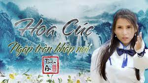Nhạc Hoa Lời Việt Hoa Cuc Ngập Tran Khắp Nui Mv 4k Thien An Nhạc Cực đỉnh Youtube