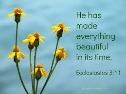 Ecclesiastes 3:11 | Hope Surrendered