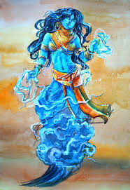 Image result for Salacia