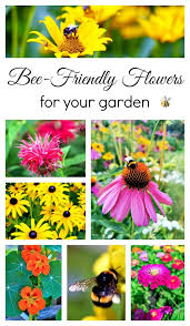 Flowers that attract bees provide abundant nectar and pollen, the only sources of carbohydrates and protein in a bee's diet. 11 Bee Friendly Flowers For Your Garden Town Country Living