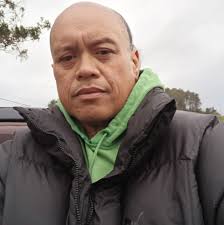 These caterpillars never stood a chance...