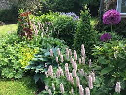Cottage Garden Ibstone Chris Cooper Hayes Garden Design Leicestershire Warwickshire