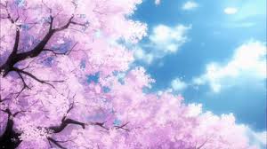 With tenor, maker of gif keyboard, add popular cherry blossom animated gifs to your conversations. Nature Cherry Blossom Gif Wallpaper
