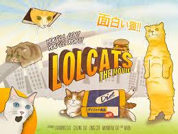 Image result for lolcats