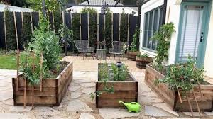 Vegetable Gardening Raised Beds Los Angeles Sustainable Landscape Desi Garden Design Layout Landscaping Backyard Landscaping Designs Garden Design Layout