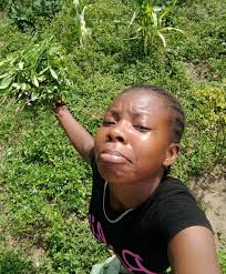 Hello With some woods🪵🌳 Quick haircut 💇