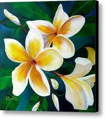 Yellow Plumeria Canvas Print By Jerri Grindle Flower Painting Canvas Flower Art Painting Flower Painting