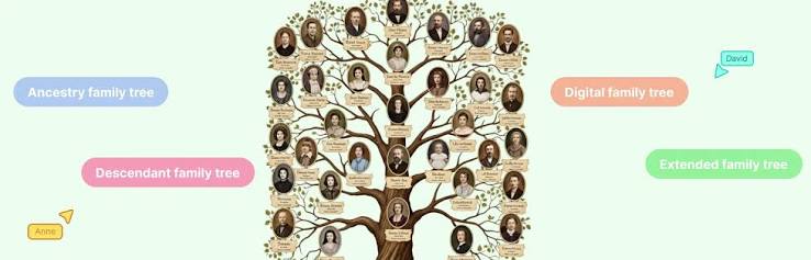 What Is a Family Tree? Definition, Purpose, and Example | Creately