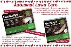 Using Nematodes As A Method Of Garden Pest Control To Combat Lawn Wrecking Leatherjackets And Chafer Grubs Is Rapidly Garden Pest Control Nematode Garden Pests