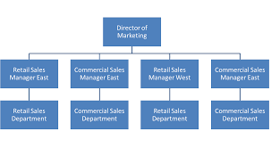 Business Organizational Structure Essay Mistyhamel