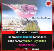 mervemsi adli kullanicinin farkli bilgiler panosundaki pin 2021 biliyor muydunuz bilgi alintilari komik goruntuler