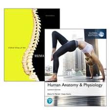 Anatomy & physiology coloring workbook: Human Anatomy Physiology Global Edition A Brief Atlas Of The Human Body 11th Edition By Elaine N Marieb 9781488657702 Buy Online At The Nile