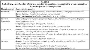 Image result for Sphaeranthus flexuosus