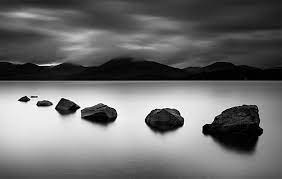 In fact there weren't many women photographers at alll! Black White Nature Photos From Michel Rajkovic The Design Inspiration The Design Inspiration