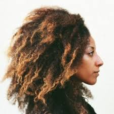 Stream the hunt (raise your arrow) by nasimiyu