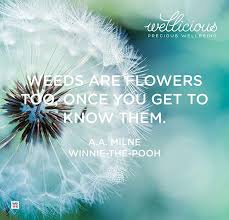 Winnie the pooh quotes flowers. Weeds Are Flowers Too Once You Get To Know Them A A Milne Winnie The Pooh Wisdom Quotes Flowers Winnie The Pooh