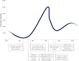 6 conformed period of report: The Plight Of The Endangered Mountain Gazelle Gazella Gazella Oryx Cambridge Core