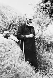 Image result for Pavetta gerstneri