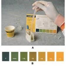 Confirmatory Test Lab Quiz Practical Flashcards Quizlet