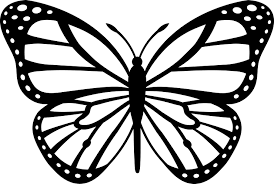 Free Free 166 Butterfly Drawing Svg SVG PNG EPS DXF File