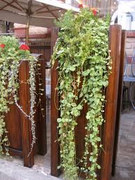 Vertical Wall Garden Vertikaler Garten Diy Kleine Hinterhofgarten Wandgarten