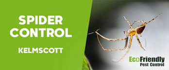 Pest control service experts with 50+ years of protecting your living and working environments from termites, wildlife, and countless other creepy crawlies. Pest Control Kelmscott