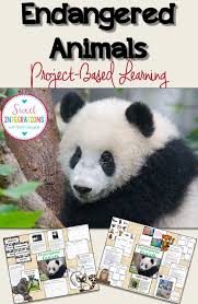 Project Based Learning Endangered Animals Project Based Learning Endangered Animals Project Project Based Learning Science