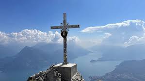 Image result for Grona