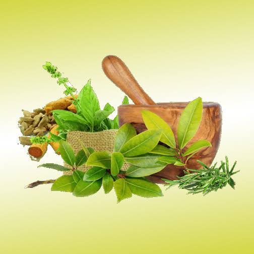 Ayurved the science of life banner with natural herbs and holistic healing concept