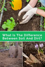 We did not find results for: What Is The Difference Between Soil And Dirt A Green Hand