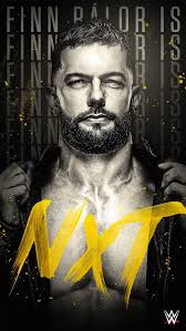 Finn Balor, bullet club, njpw, nxt, prince devitt, raw, smackdown, wwe, HD  phone wallpaper