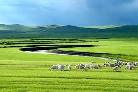 呼伦贝尔大草原- 呼伦贝尔旅游贴士，贝加尔湖旅游贴士- 满洲里蓝天国际旅行社| 满洲里旅游| 呼伦贝尔旅游| 贝加尔湖旅游