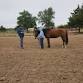 Ranch Riding Mini Clinic event image