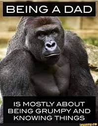 Being A Dad Is Mostly About Being Grumpy And A Knowing Things In 2021 Daily Funny Gorilla Edgy Memes