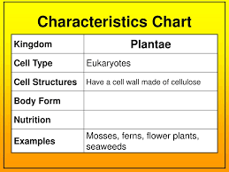 Ppt Six Kingdom Notes Powerpoint Presentation Id 2371959