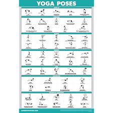 Our balance is one of the most important factors in staying mobile and. Quickfit Yoga Poses Poster Beginner Yoga Position Chart English And Sanskrit Names Double Sided Laminated 18 X 27 Buy Online In Fiji At Fiji Desertcart Com Productid 107440310