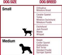 Brodie Bowl Size Chart