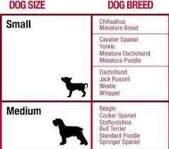 brodie bowl size chart