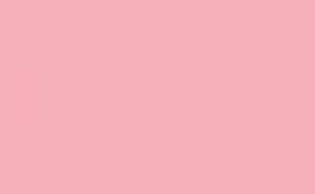 We did not find results for: Leos Camera Supply Bd Backgrounds 117 Pastel Pink Background Paper 2 72m X 11m