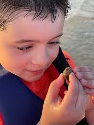 Dennis Wolfe Obituary (2021)