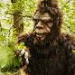 Smoky Mountain Bigfoot Festival event image