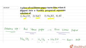 When red litmus paper comes into contact with any alkaline substance, it turns blue. A Price Of Red Litmus Paper Turns Blue When It Dipped Into A Frehly Prepared Aqueous Solution Of