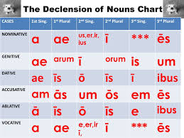 The Declension Of Nouns Chart Ppt Download