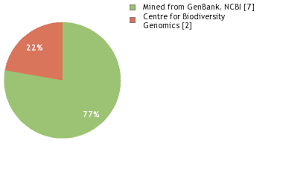 Image result for Adenolobus pechuelii