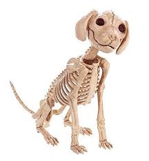 Savestore Skeleton Dog Puppy Cat Kitty Animal Bones For Horror Halloween Party Bar Home Decor Decoration Accessories Deco Dog Skeleton Skeleton Puppy Dog Skull