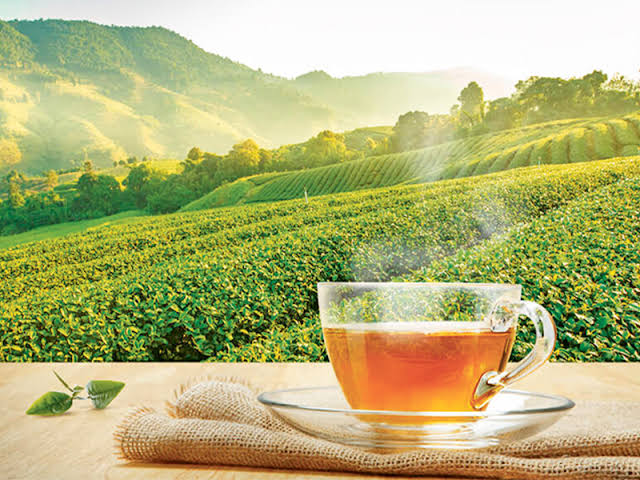 Tea export earnings up 14.74% in March - Ceylon Today