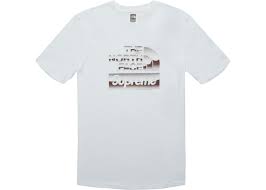 The north face is an american outdoor recreation products company. Supreme The North Face Metallic Logo T Shirt White Ss18