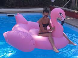 Grosser Xxl Aufblasbarer Flamingo Als Riesiges Sofa Badeinsel Bett Fur Pool Strand Party Und Urlaub Amazon De Spielzeu Aufblasbarer Flamingo Pool Flamingo